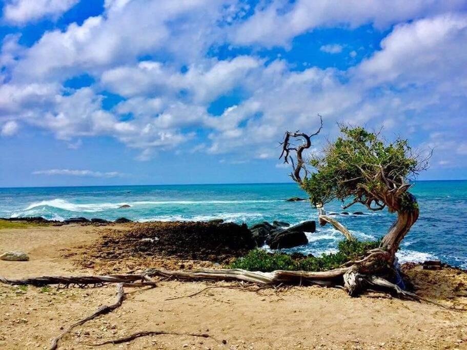 Aruba Condo The Pearl - At Eagle Beach - Minute Walk! Palm Beach Extérieur photo